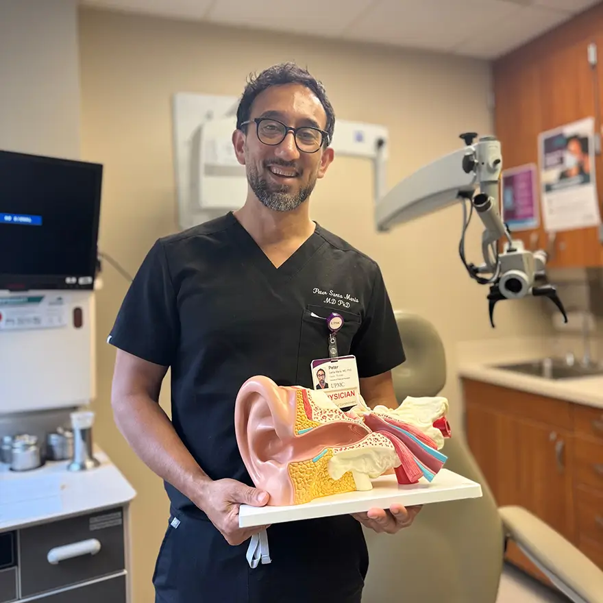 Medical doctor in scrubs holding an anatomical model of a human ear in a clinical office setting